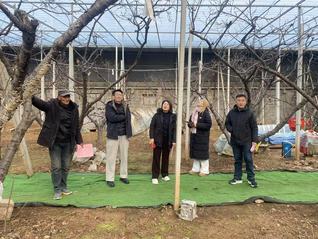 青鸟计划23美术本2王昱兮